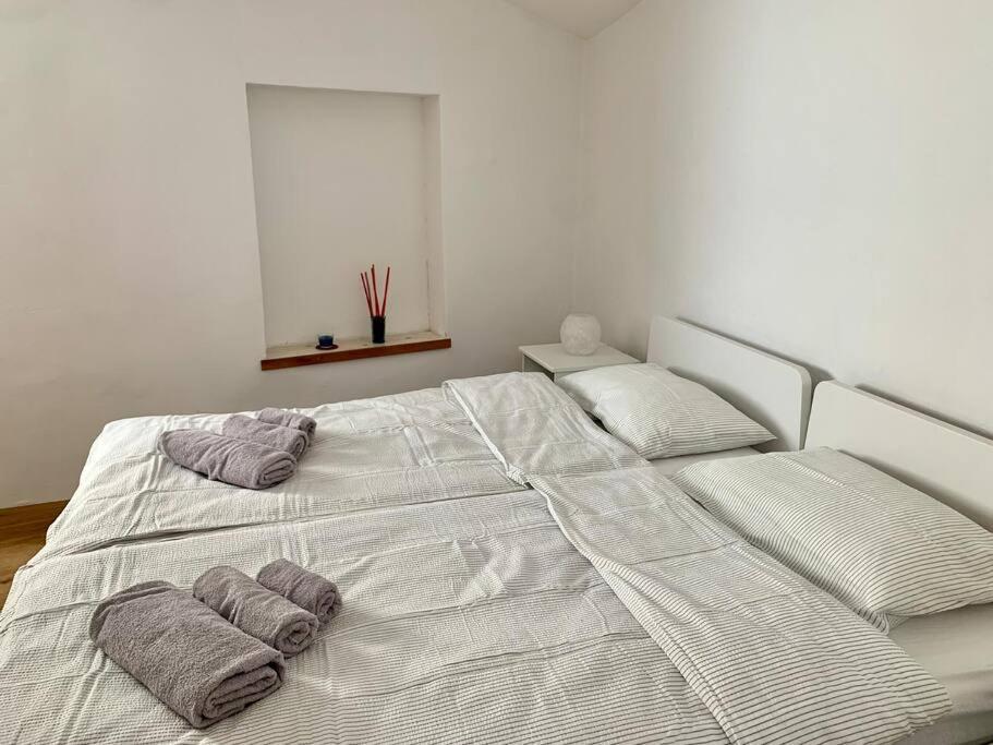 Appartamento Roofy-top Pirano